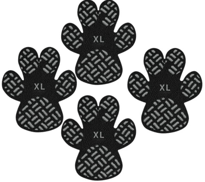 PIC15.png